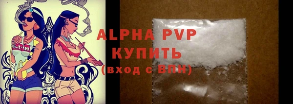 индика Богородск