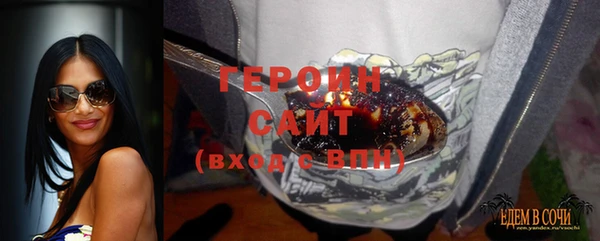 индика Богородск