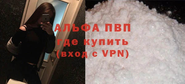прущий лед Богданович