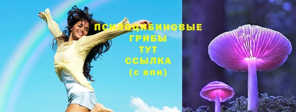 таблы Богородицк