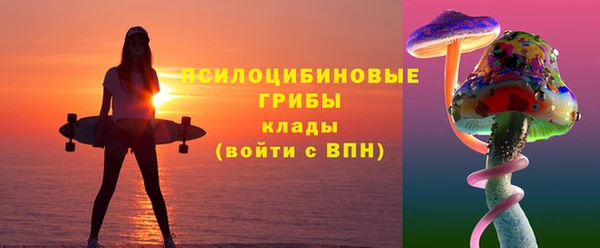 прущий лед Богданович