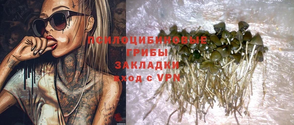 прущий лед Богданович