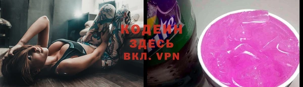 индика Богородск