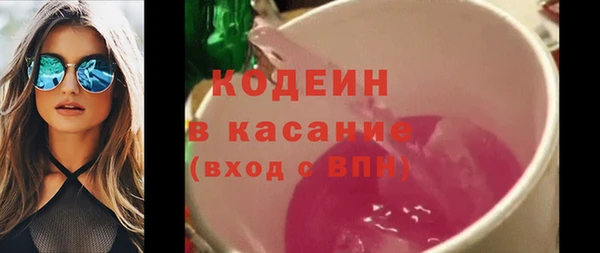 индика Богородск