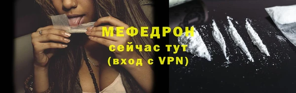 индика Богородск