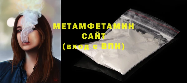 индика Богородск