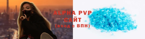 индика Богородск