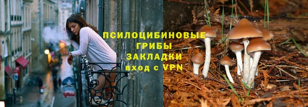 индика Богородск