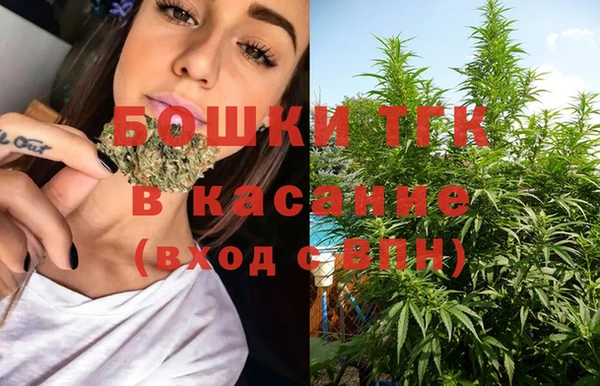 прущий лед Богданович