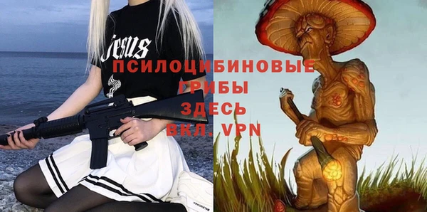 прущий лед Богданович