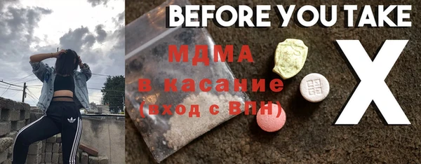 индика Богородск