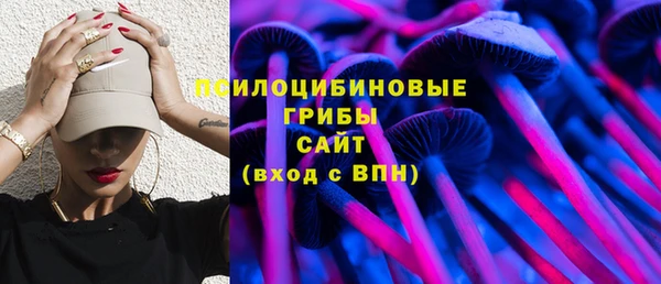 прущий лед Богданович