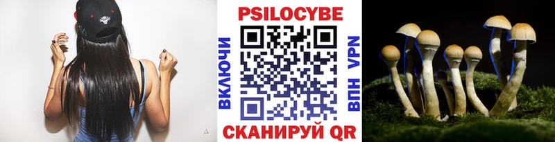 Псилоцибиновые грибы ЛСД Мариинский Посад